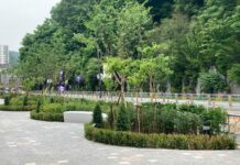 경기도, 471억 투입. 연천군 가로숲길 등 도시숲 181곳 조성