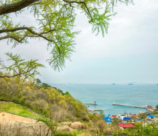 5월부터 ‘아름다운 섬 경기도 풍도·육도’ 여행 하루만에 가능!