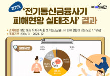 보이스피싱·스미싱 등 평균 피해액 810만 원. ‘기관사칭형’ 가장 많아