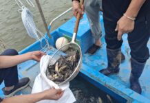 경기도, 한강·임진강 등 접경지역 수산물 긴급 방사능 조사 결과 ‘불검출’