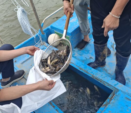 경기도, 한강·임진강 등 접경지역 수산물 긴급 방사능 조사 결과 ‘불검출’