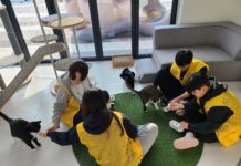 유기동물과 교감하며 배우는 생명존중…경기도, 청소년 여름방학 봉사 프로그램 마련